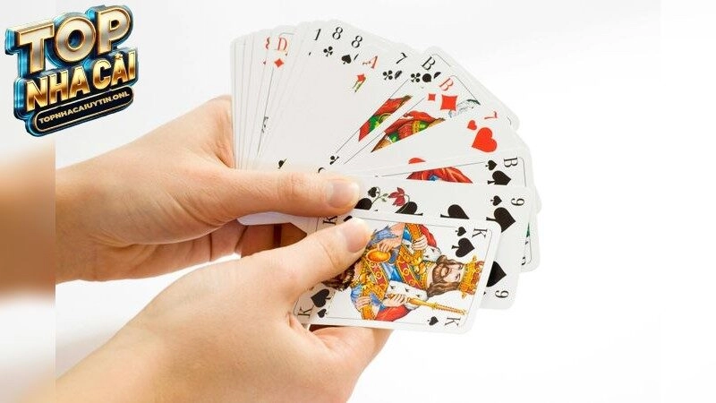 shbet – Bùng nổ cảm giác cá cược mới 2025